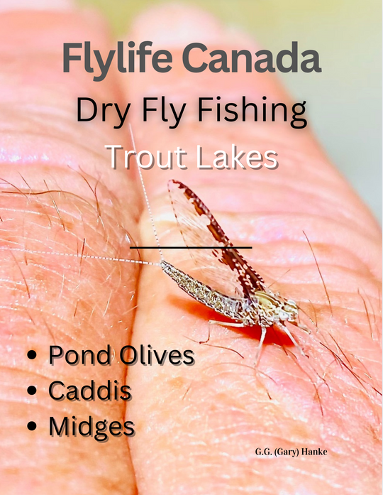  Dry Fly Fishing Trout Lakes