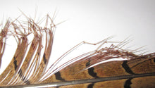  Knotted Pheasant Tail - Legs